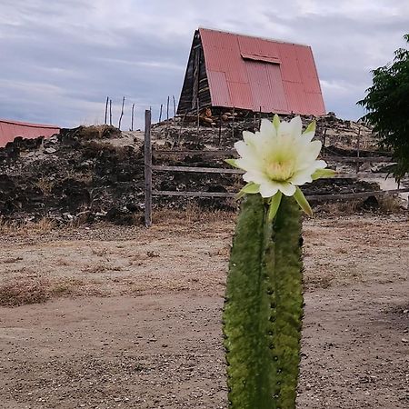Mana Star Lounge Hotel Villavieja Dış mekan fotoğraf